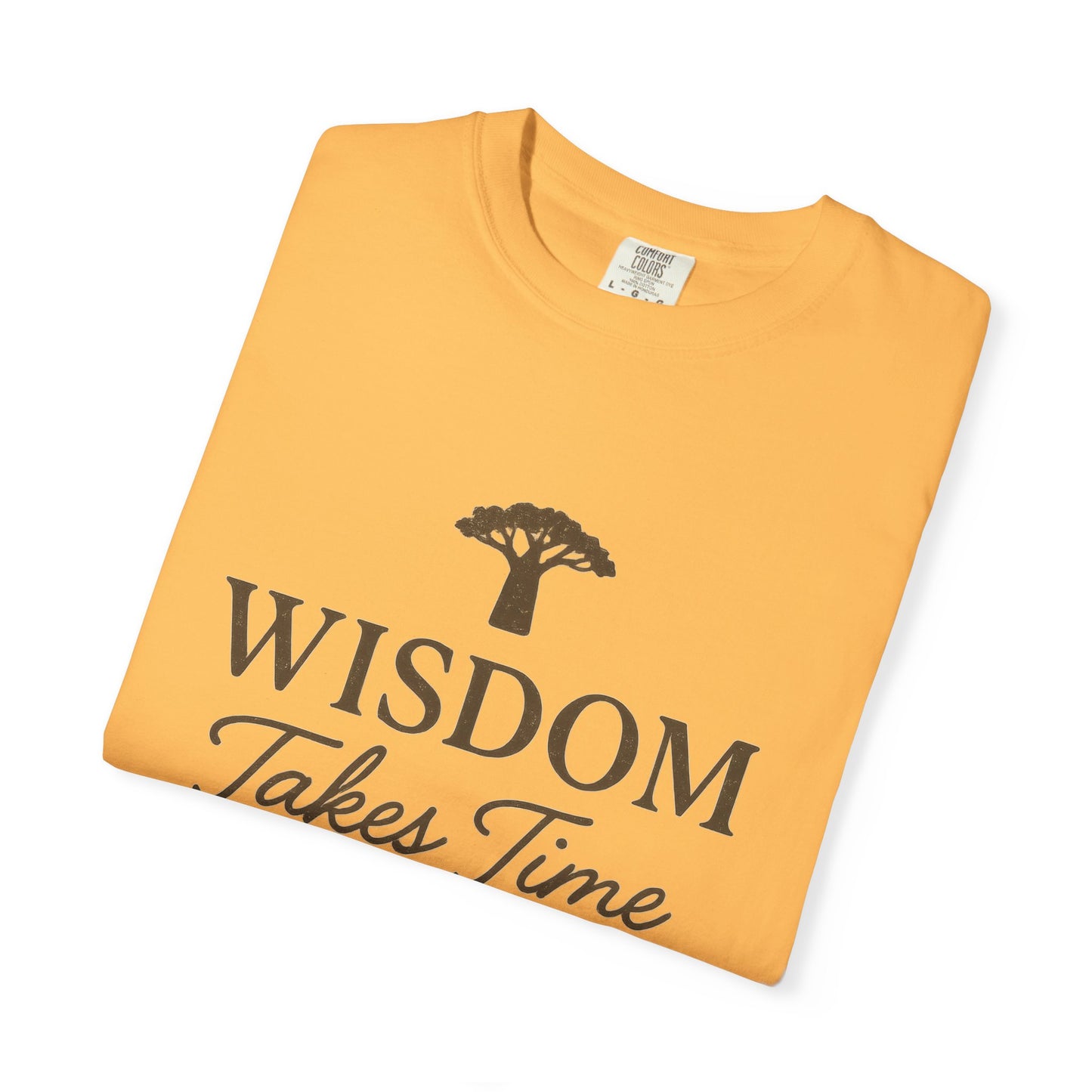 Garment-Dyed T-Shirt - Wisdom Takes Time, Unisex Tee, Inspirational T-Shirt, Casual Wear, Gift for Friends, Positive Vibes