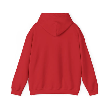 DJEZ1 — Global Surfer Hoodie