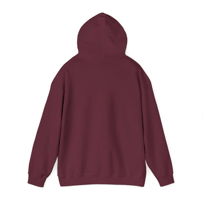 DJEZ1 — Global Surfer Hoodie