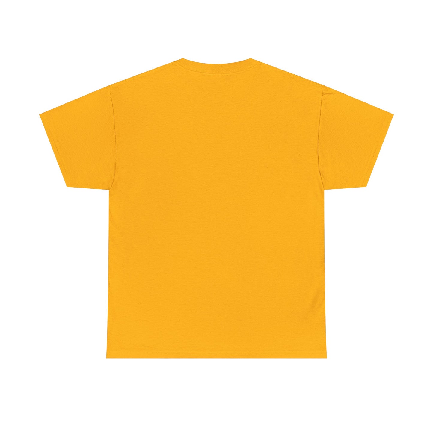 AMAPIANO - Heavy Cotton Tee