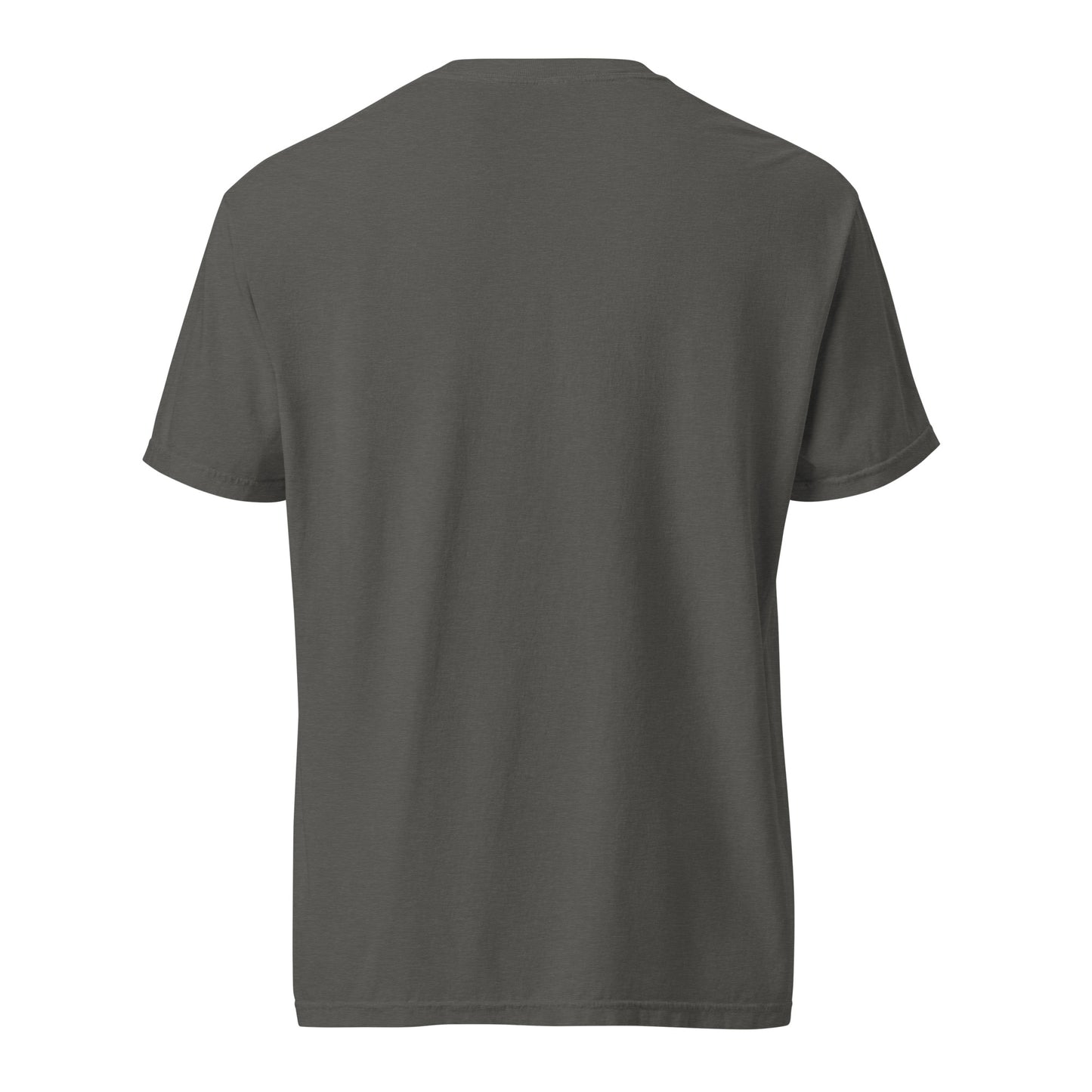 Ups & Downs - heavyweight t-shirt