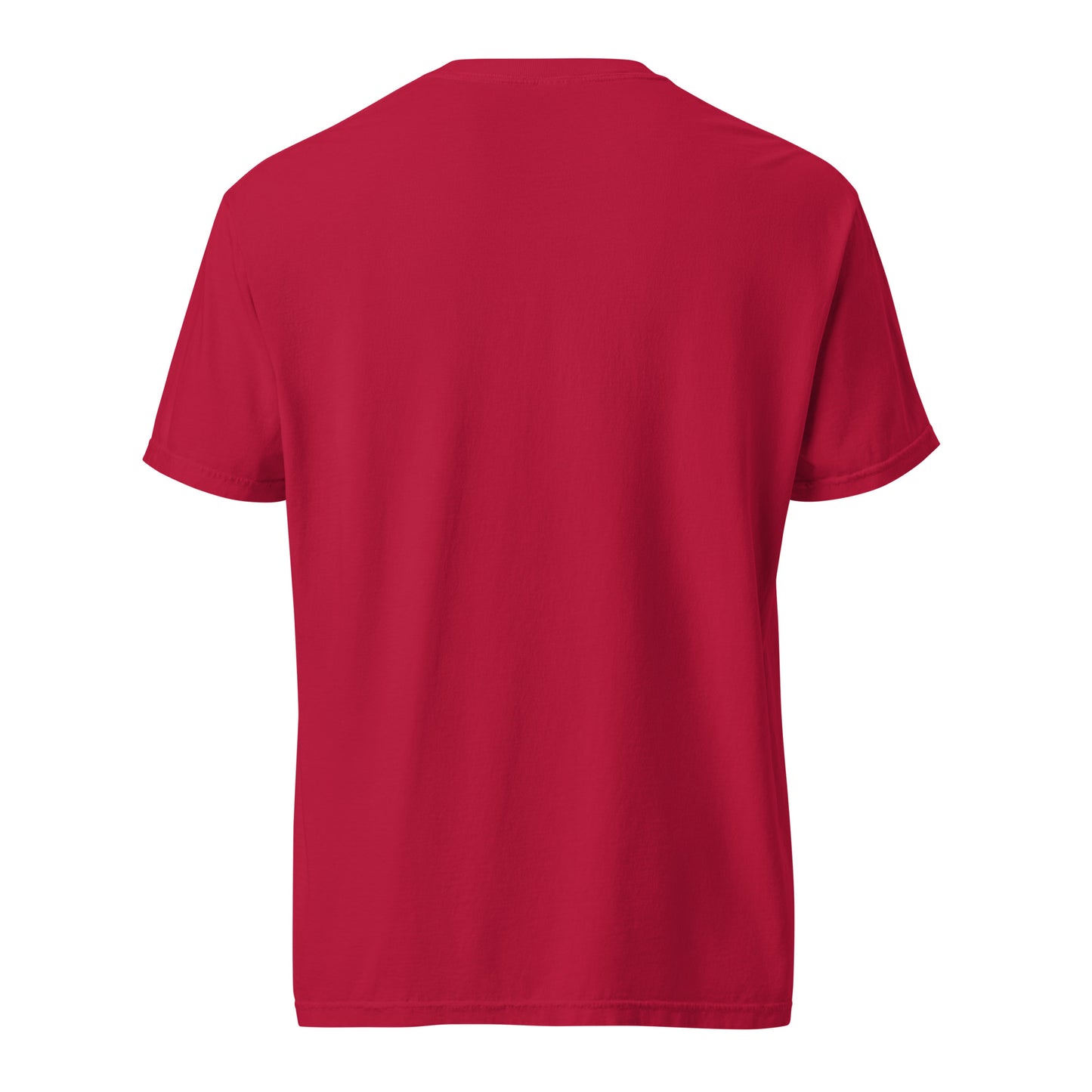 Ups & Downs - heavyweight t-shirt