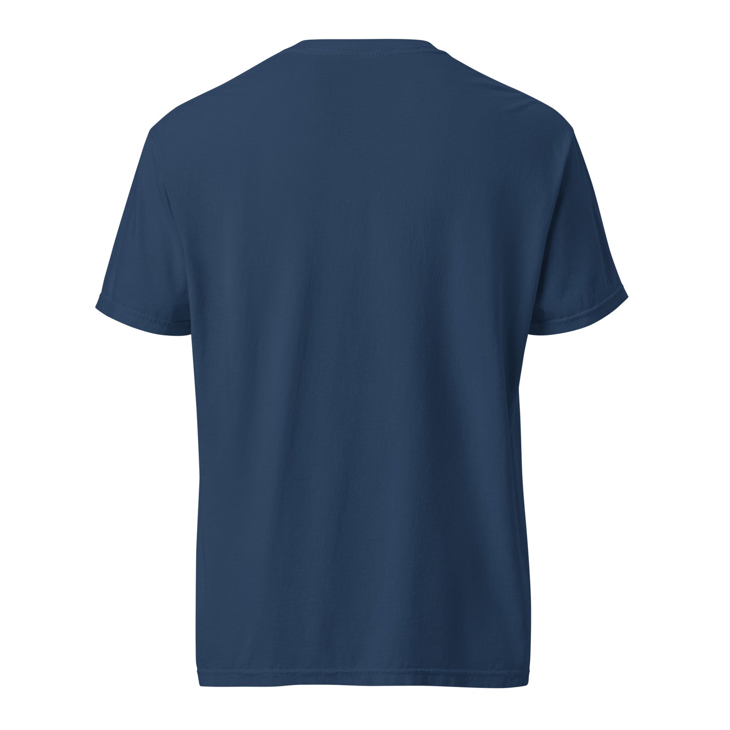 Ups & Downs - heavyweight t-shirt